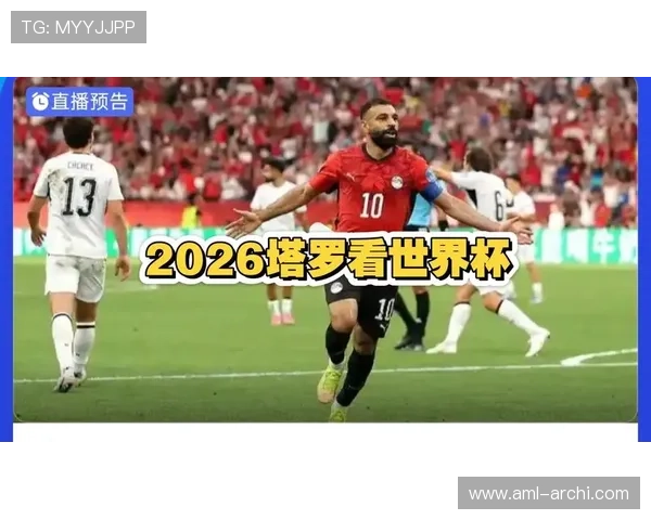 世界杯埃及对阵伊朗比赛战术分析与关键战术亮点解析